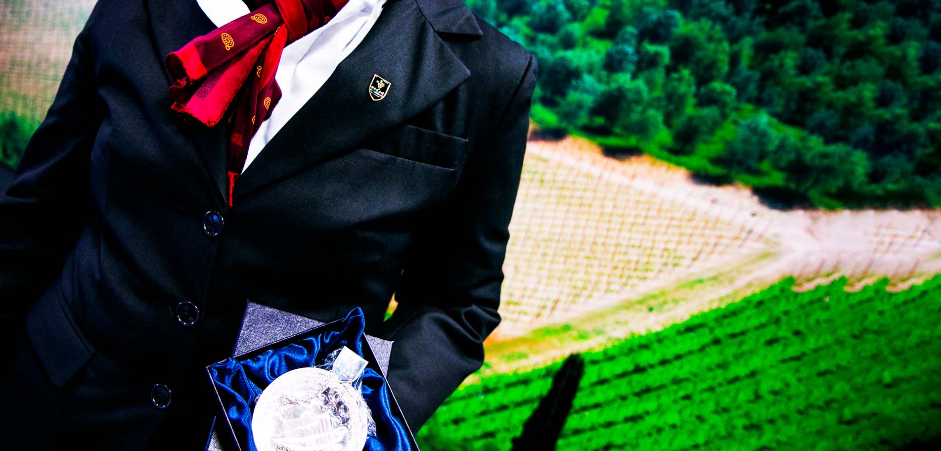 intro-banner